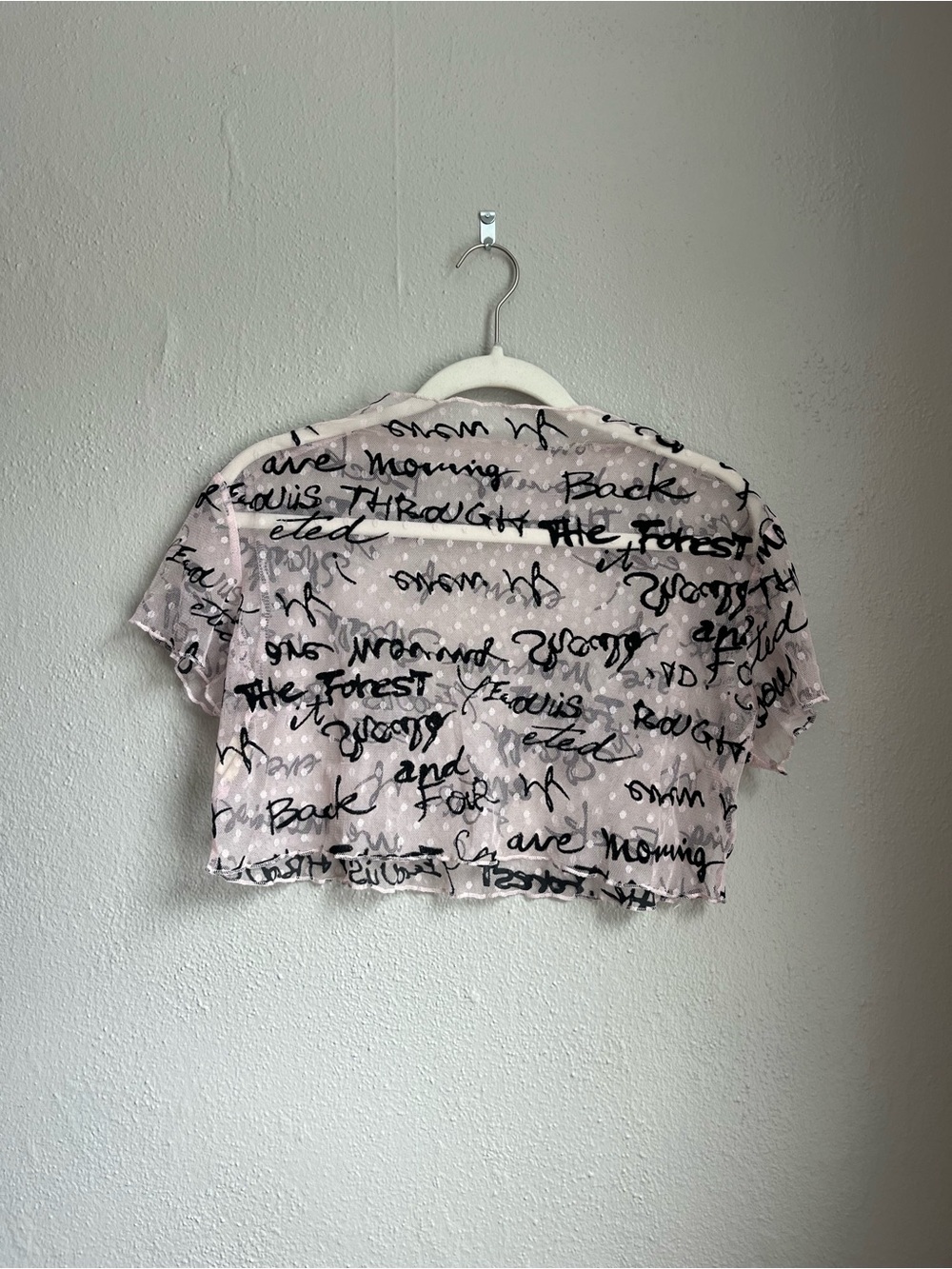 Sheer Blush Polka Dot Crop Top
